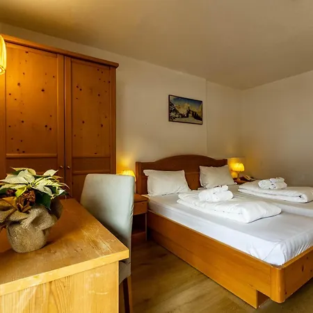 Grizzly Hotell 3*